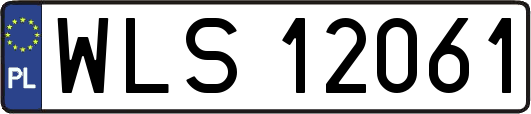 WLS12061