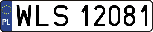 WLS12081