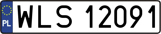 WLS12091