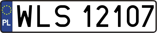 WLS12107