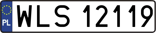 WLS12119