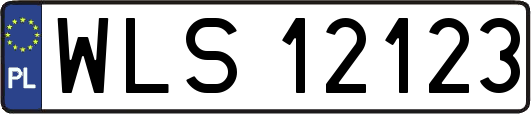 WLS12123