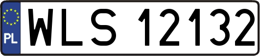 WLS12132