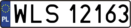 WLS12163