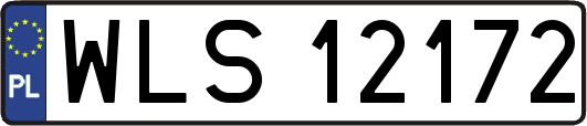 WLS12172