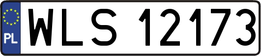 WLS12173