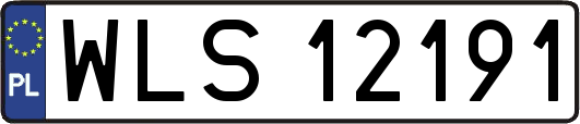 WLS12191