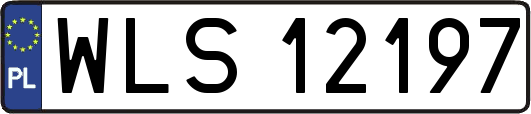 WLS12197