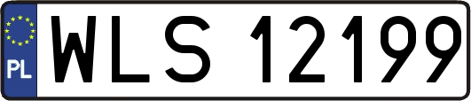 WLS12199