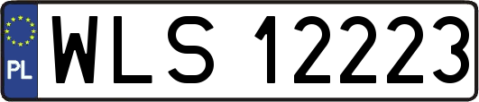 WLS12223