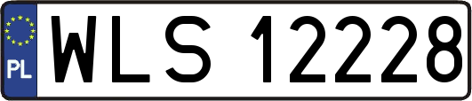 WLS12228