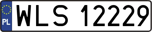 WLS12229