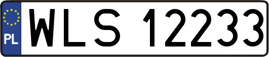 WLS12233