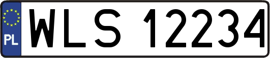WLS12234