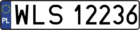 WLS12236