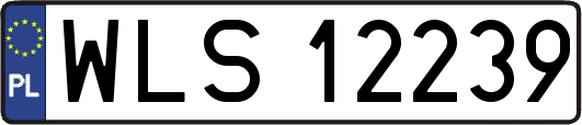 WLS12239