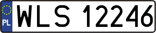 WLS12246