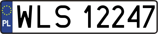 WLS12247