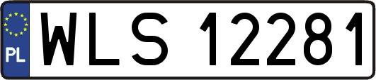 WLS12281