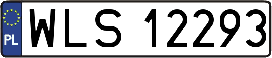 WLS12293