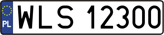 WLS12300