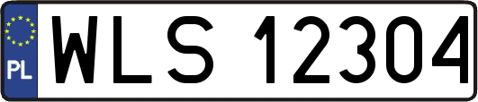 WLS12304