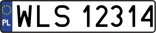 WLS12314