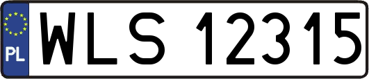 WLS12315