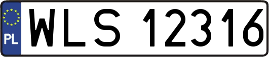 WLS12316