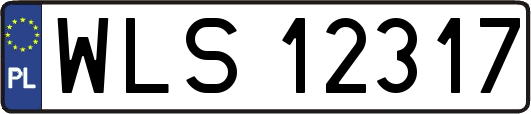 WLS12317