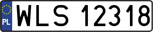 WLS12318