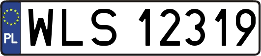 WLS12319