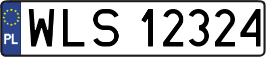 WLS12324