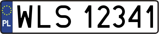 WLS12341