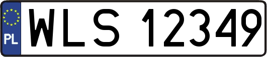 WLS12349