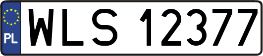 WLS12377