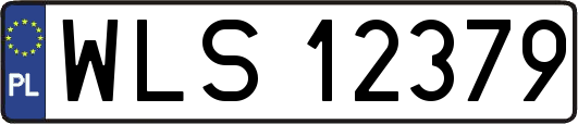 WLS12379