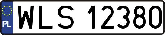 WLS12380