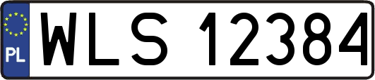 WLS12384