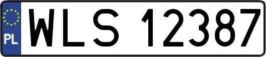 WLS12387