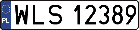 WLS12389