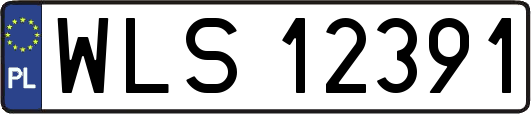 WLS12391