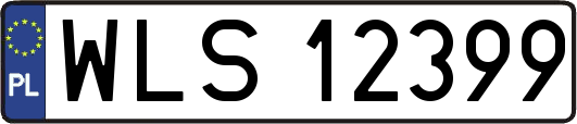 WLS12399