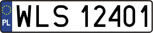 WLS12401