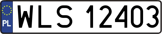 WLS12403
