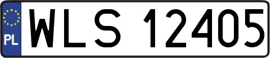 WLS12405