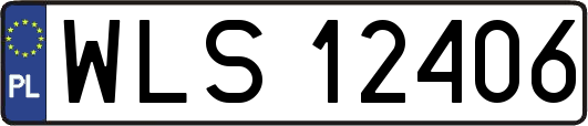WLS12406