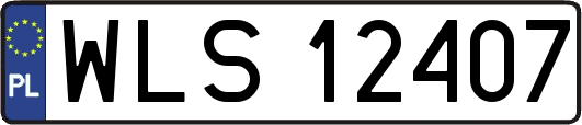 WLS12407