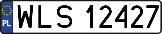 WLS12427