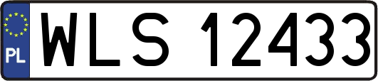 WLS12433